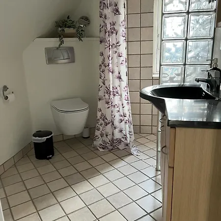 Vejbaek Domus *