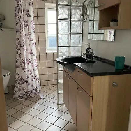 Vejbaek Domus *