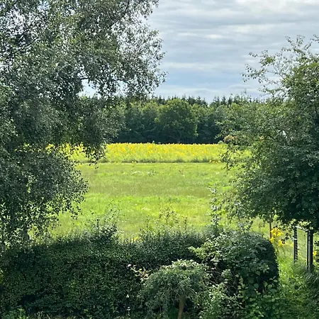 Vejbaek Domus * Padborg